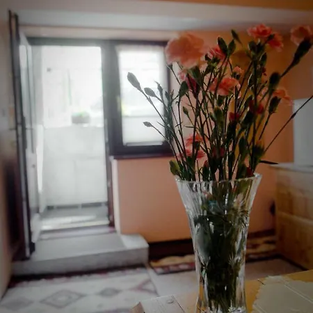 Goscinne Mroz Krystyna